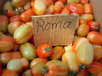 Download_10.02_28_tomatoes_003